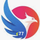 c77 Fortaleza - Sports Winners